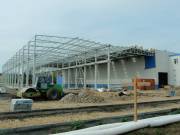 10160_siempelkampii_big_03