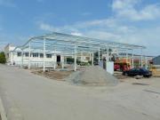 11104_kornfeil_big_05
